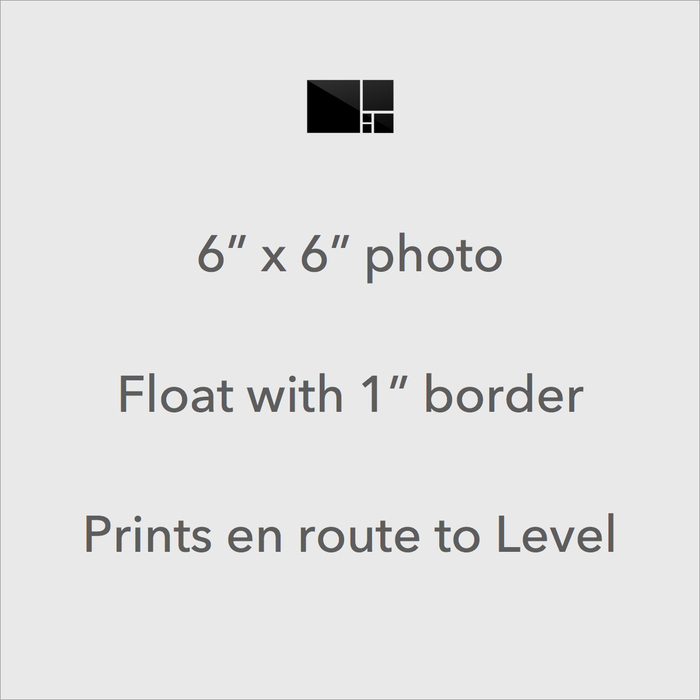 Magnum Square Print - Custom Framed Art | Level Frames