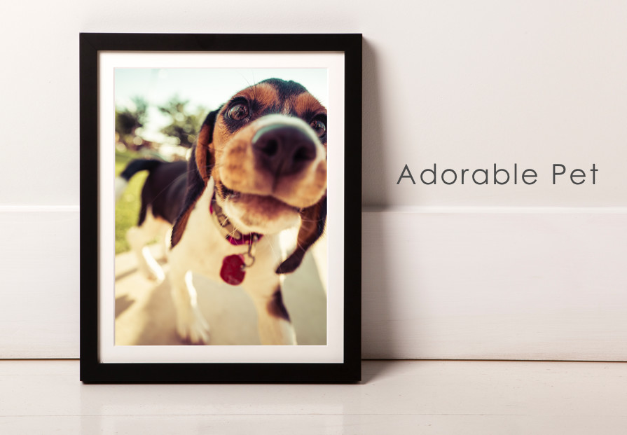 Custom frame pet photos