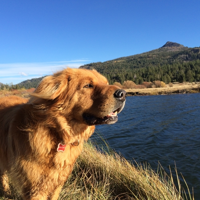 Deimos Custom Framed Art Level Frames