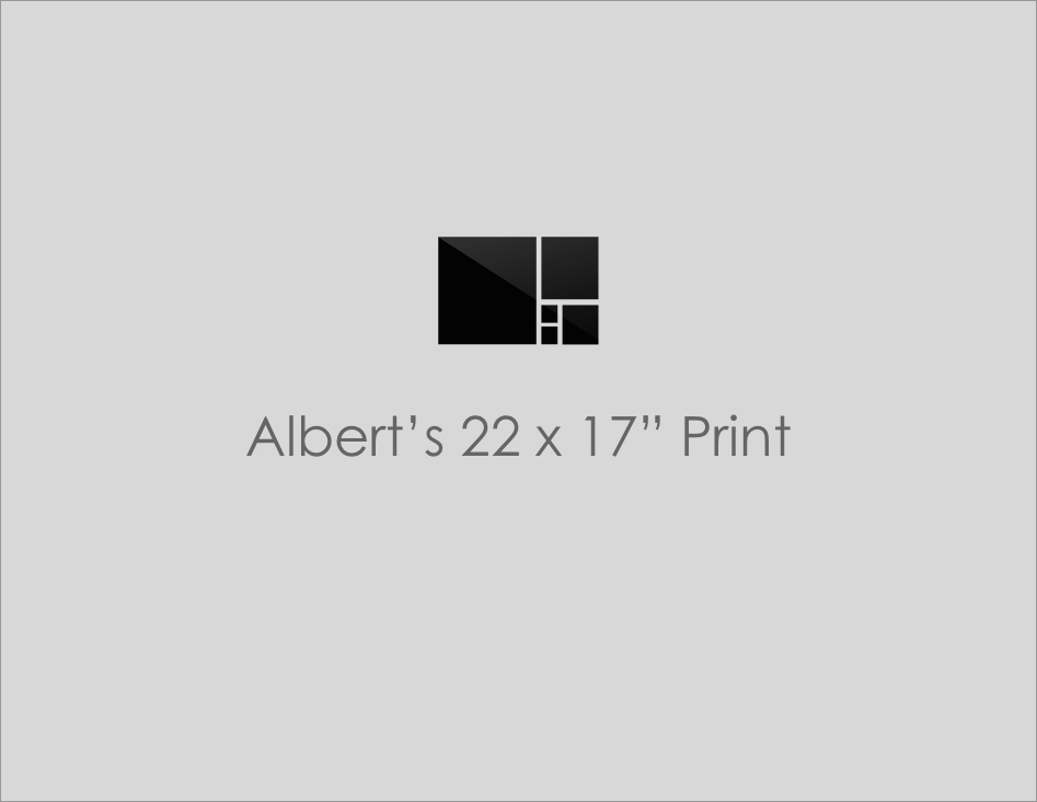 Albert’s 22 x 17” Print Custom Framed Art Level Frames