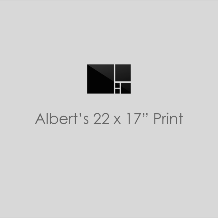Albert’s 22 x 17” Print Custom Framed Art Level Frames