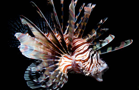 R0eu0aif2fu4wshwb 05fq medium