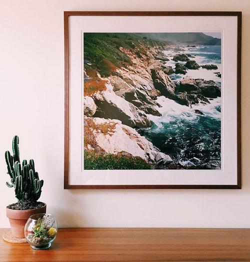 Cactus feature progressive