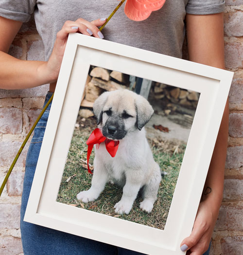 Best Custom Picture Frames & Online Art Framing Level Frames