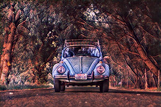 Nature patterns thumb