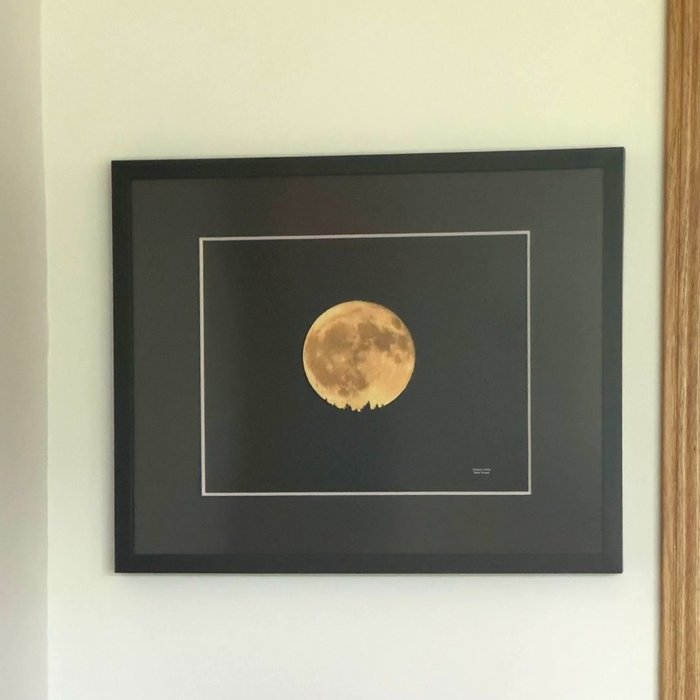 Verified review from Heidi M: "I was impressed with all aspects of my order. Shipping box was well designed.  Easy institutions and assembly."