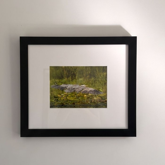 Verified review from Mike H: "The frames were money. Easy to assemble. Packaged perfectly and at a reasonable price. I ordered 3 frames with mattes at a custom size. Worked great. Very happy. I’m ordering another round of frames soon. Couldn’t be happier."